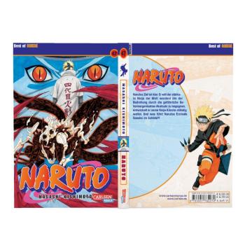 Manga: Naruto 47