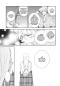 Preview: Manga: The Royal Tutor 9