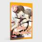 Preview: Manga: Junjo Romantica 13
