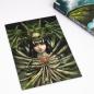 Preview: Manga: Dragon Hunt Tribe 1