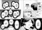 Preview: Manga: Voll kein Typ 10