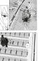 Preview: Manga: Kagurabachi 7