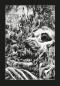 Preview: Manga: H.P. Lovecraft Deluxe: Der Schatten über Innsmouth (Hardcover)