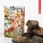 Preview: Manga: Dr. Stone 12