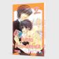Preview: Manga: Junjo Romantica 2