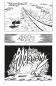 Preview: Manga: Dragon Ball 24