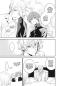 Preview: Manga: The Royal Tutor 16
