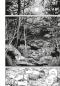 Preview: Manga: Vinland Saga 29