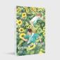 Preview: Manga: I Hear The Sunspot – Die Vier Jahreszeiten 4