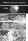 Preview: Manga: Gannibal 13