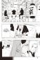Preview: Manga: Naruto Massiv 13