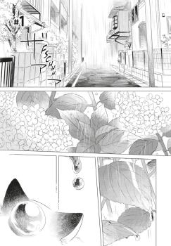 Manga: Fairy Cat 1