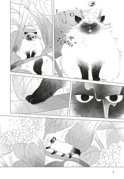 Manga: Fairy Cat 1