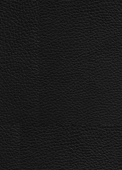 Preview: Manga: Berserk Master Edition 04 (Hardcover)