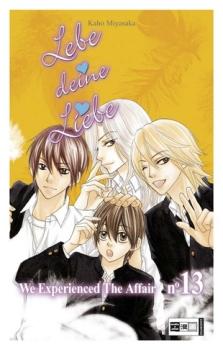 Manga: Lebe deine Liebe 13