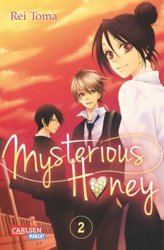 Manga: Mysterious Honey 2