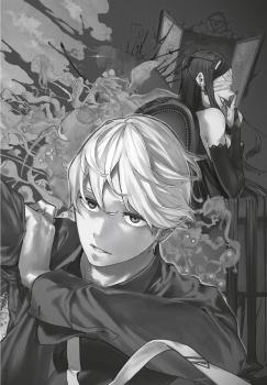 Manga: Phantom Seer Komplettpack 1-4