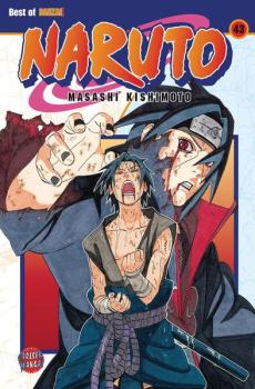 Manga: Naruto 43
