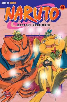 Manga: Naruto 44