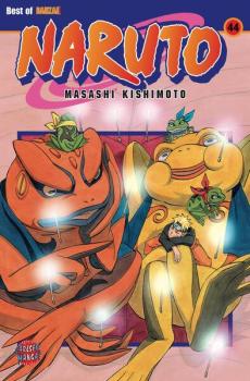 Manga: Naruto 44