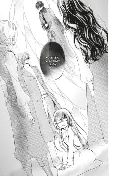 Manga: Vampire Knight Memories 10