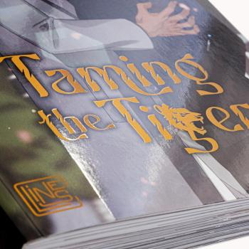 Preview: Manga: Taming the Tiger 5