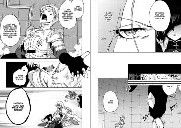 Manga: Dark Paladin 09