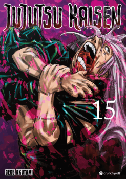 Manga: Jujutsu Kaisen – Band 15