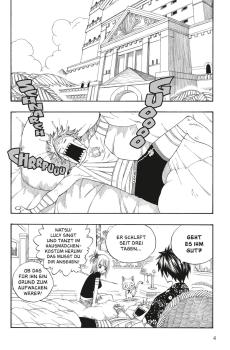 Manga: Fairy Tail 13