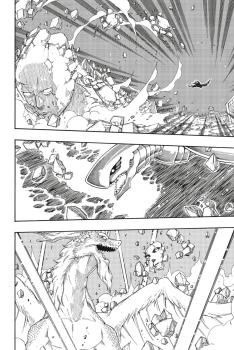 Manga: Fairy Tail Massiv 17