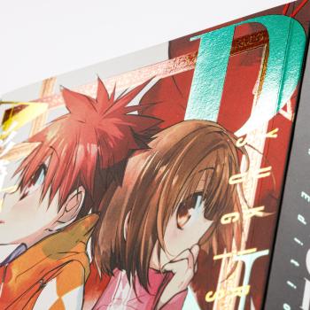 Manga: D.N. Angel Pearls 10