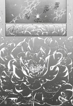 Manga: Magic Knight Rayearth Premium Collection 1