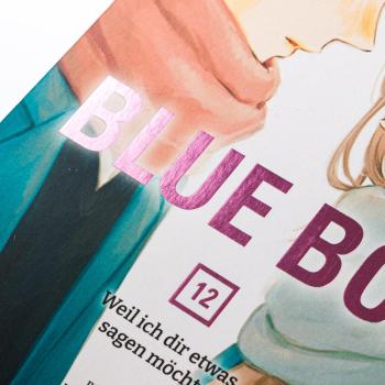Manga: Blue Box 12