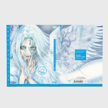 Preview: Manga: Angel Sanctuary Pearls 3