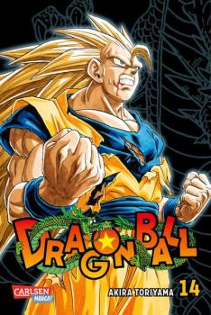 Manga: Dragon Ball Massiv 14