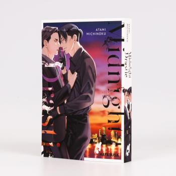 Preview: Manga: Midnight Drastic