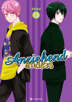Manga: Anziehend anders – Band 13