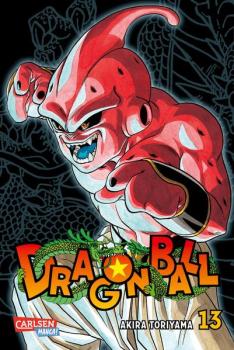 Manga: Dragon Ball Massiv 13