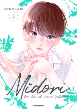 Manga: Midori – Der Freund meiner Schwester – Band 3