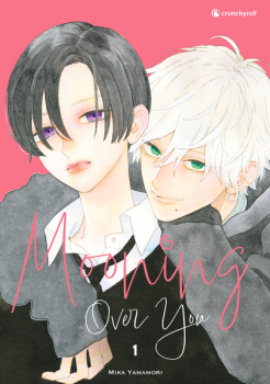 Manga: Mooning Over You – Band 1