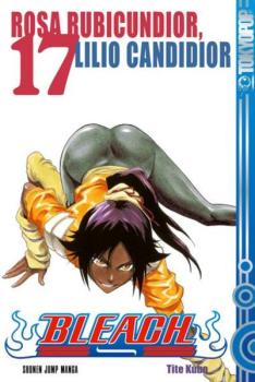 Manga: Bleach 17