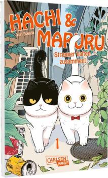 Manga: Hachi & Maruru – Streuner halten zusammen! 1