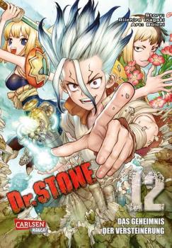 Manga: Dr. Stone 12