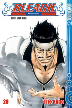 Manga: Bleach 28