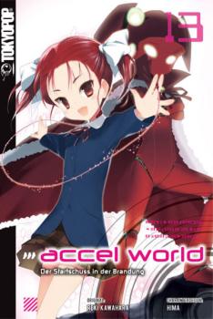 Manga: Accel World - Novel 13