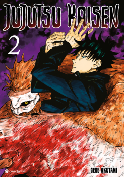Manga: Jujutsu Kaisen – Band 2