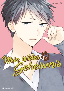 Manga: Mein wildes Geheimnis – Band 4 (Finale) (Hardcover)