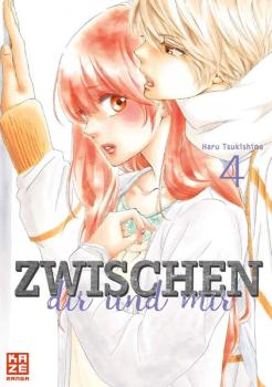 Manga: Junjo Romantica 14