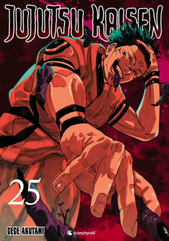Manga: Jujutsu Kaisen – Band 25