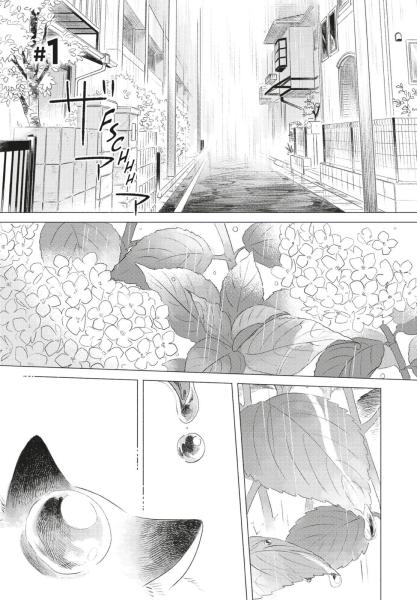 Manga: Fairy Cat 1
